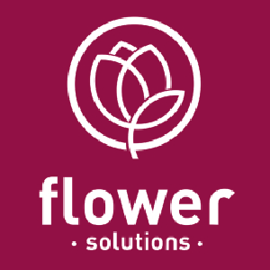 Flower Solutions – furnizarea florilor en-gros