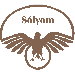 Sólyom – restaurant, bar, înghețată și langos